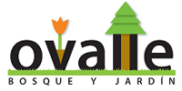 ovalle