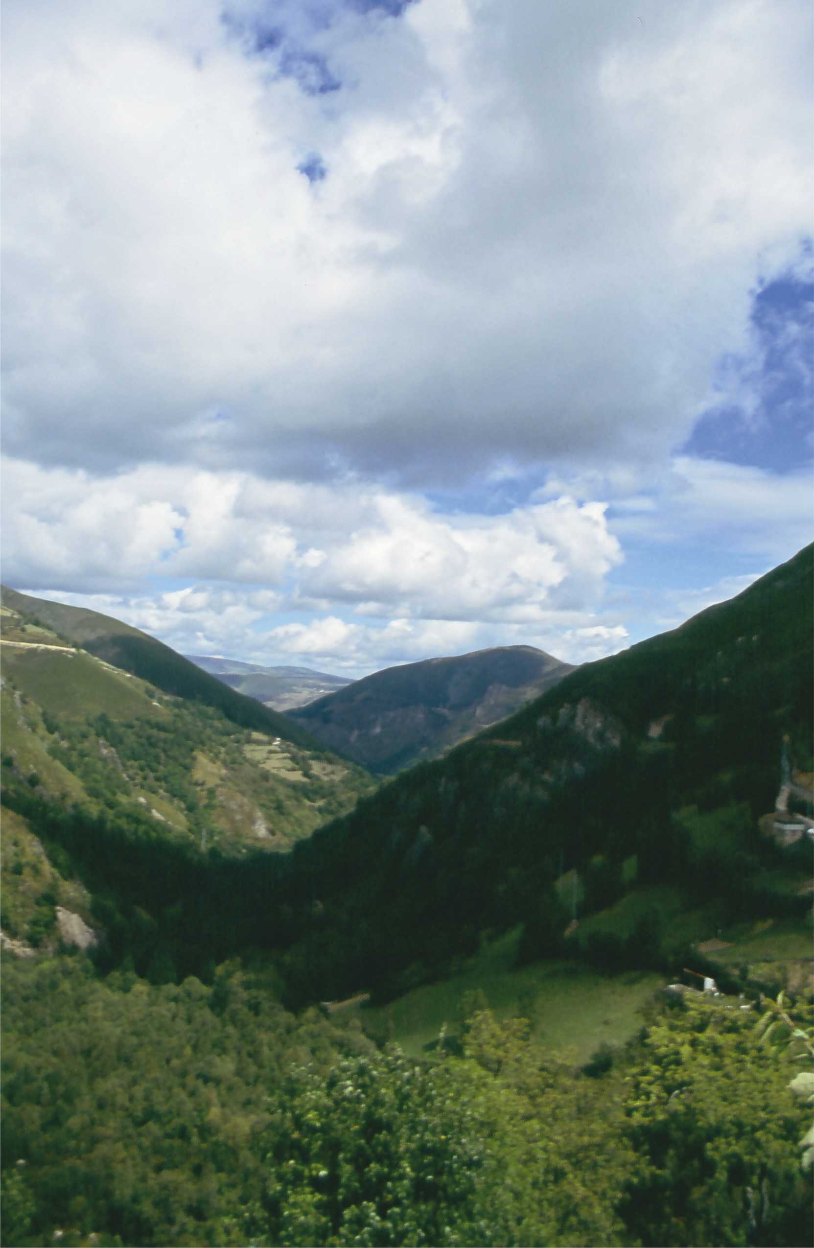 Mount Armayán Tineo